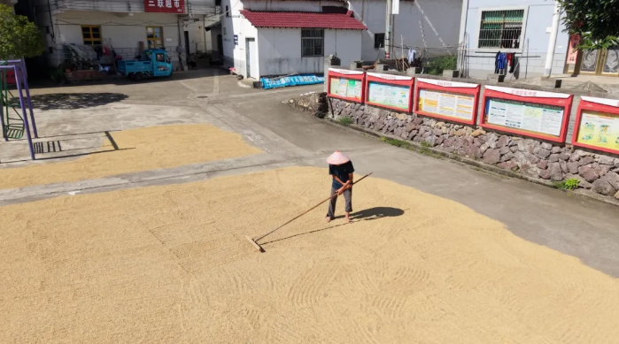 橙讯图片_1761548697136